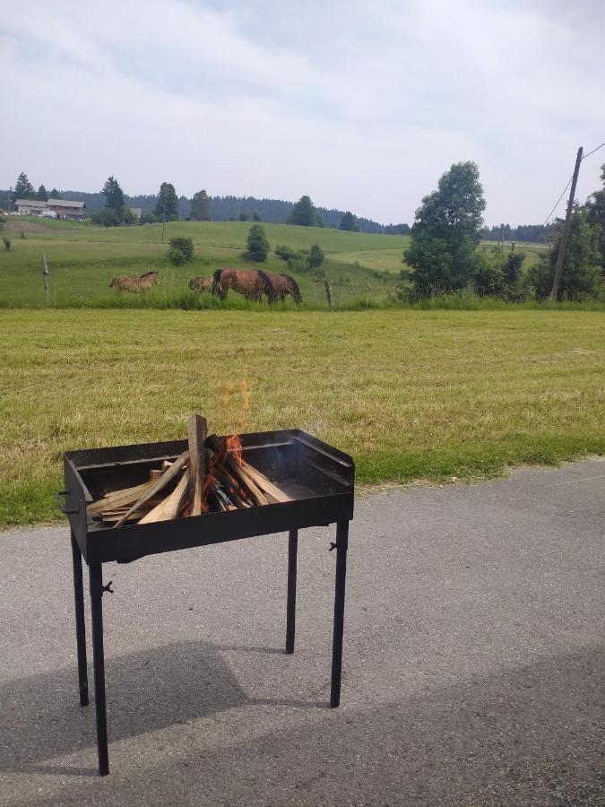 Apartma Sveti Duh Nova Vas  Eksteriør billede